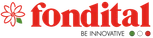 Логотип Fondital